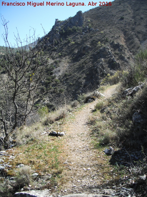 Cabecera del Ro Albanchez - Cabecera del Ro Albanchez. Camino