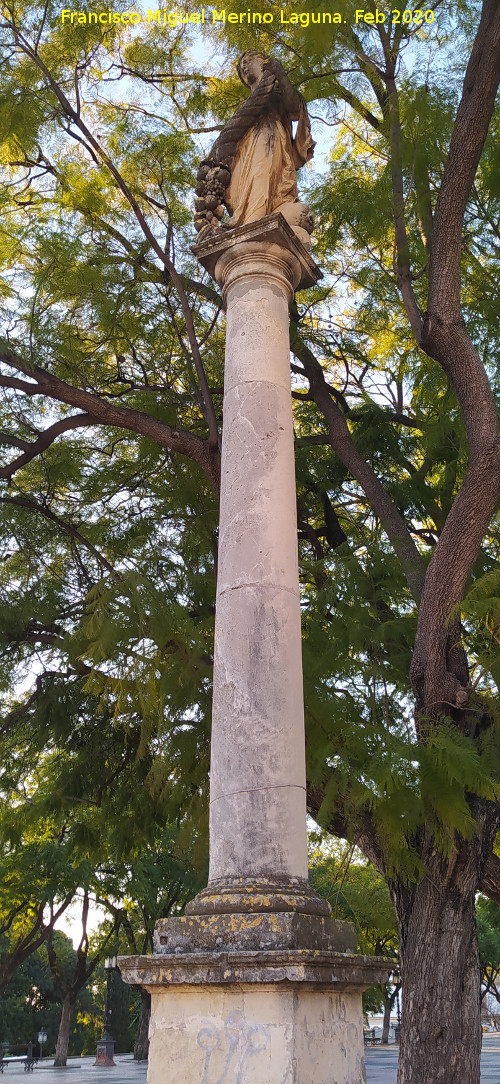 Alameda Vieja - Alameda Vieja. Columna