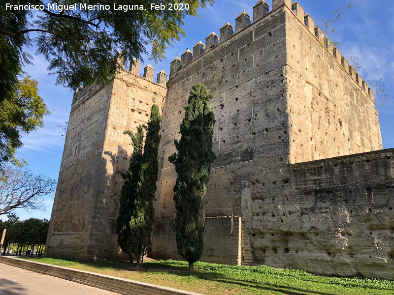Alc�zar de Jerez. Torre del Homenaje - Alc�zar de Jerez. Torre del Homenaje. Extramuros