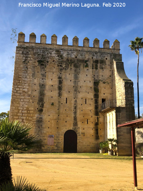 Alc�zar de Jerez. Torre del Homenaje - Alc�zar de Jerez. Torre del Homenaje. Intramuros