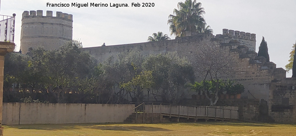 Alc�zar de Jerez. Huerto - Alc�zar de Jerez. Huerto. 