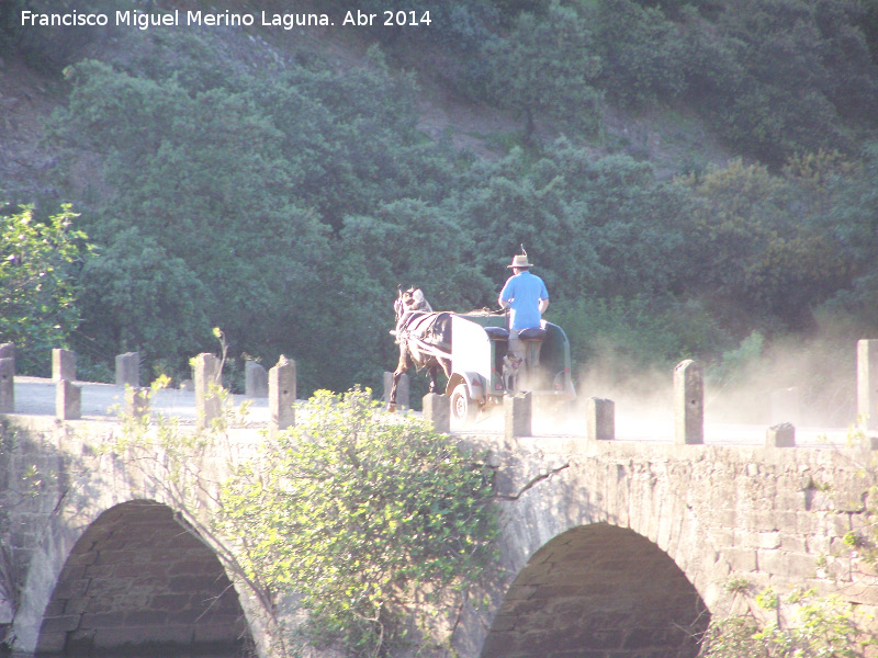 Puente romano de la Lagunilla - Puente romano de la Lagunilla. Carro del tipo romano sobre el puente