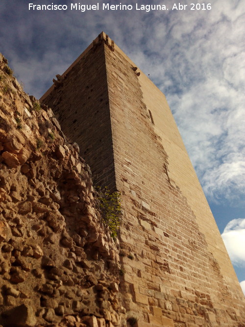 La Mota. Torre de la Crcel - La Mota. Torre de la Crcel. 