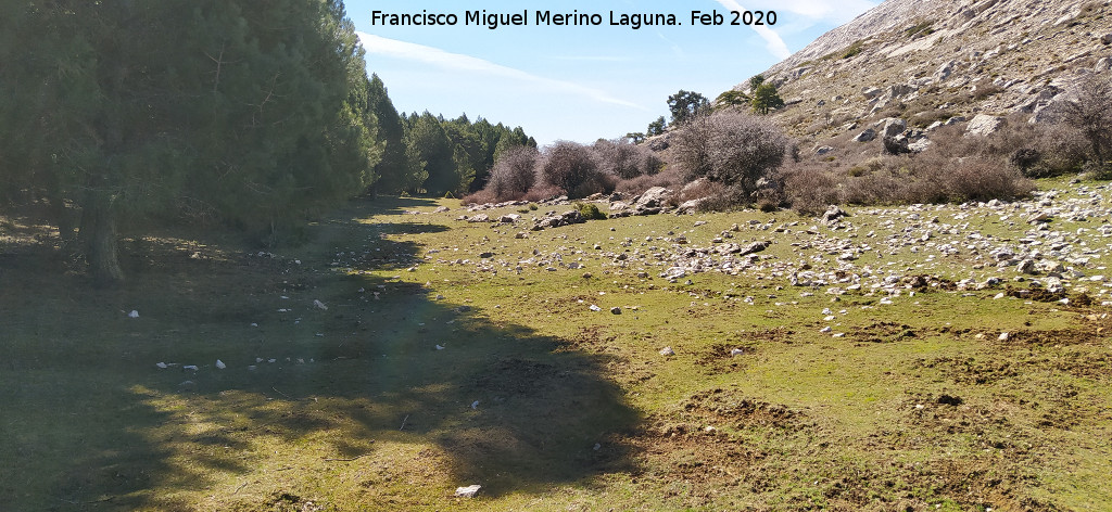 Nava Alta del Barranco de la Ca�ada de las Fuentes - Nava Alta del Barranco de la Ca�ada de las Fuentes. 