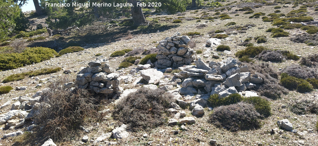 Grabado forestal de la Loma de Cagasebo - Grabado forestal de la Loma de Cagasebo. 