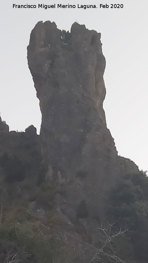 Muela de la Mocha - Muela de la Mocha. 