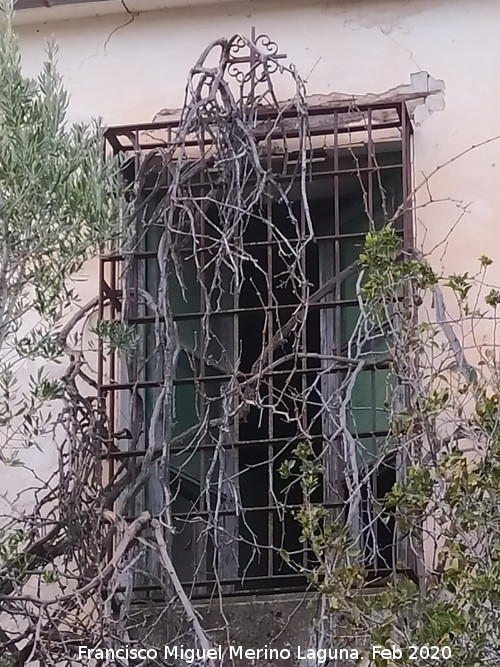 Cortijo del Camino de Capellan�as - Cortijo del Camino de Capellan�as. Reja