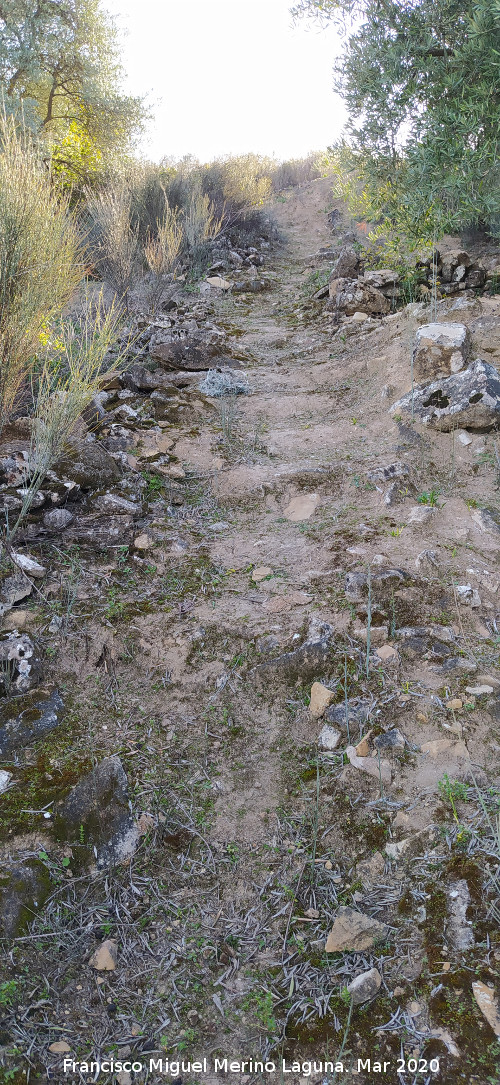 Ca�ada Canenilla - Ca�ada Canenilla. 