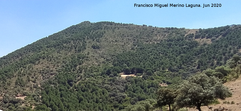 Loma del Barranco de Elises - Loma del Barranco de Elises. Desde el Cerro Chozas del Centenillo