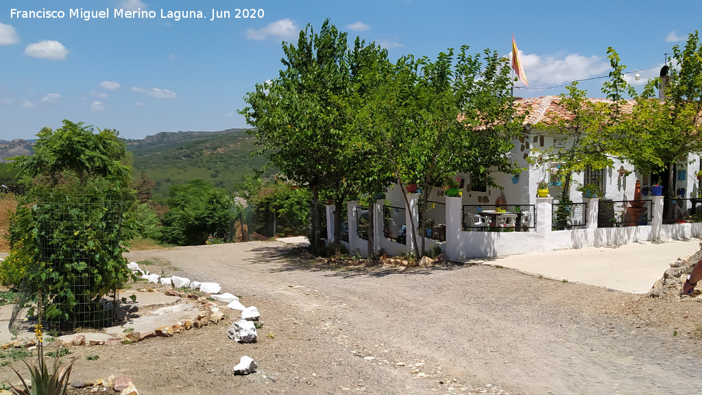 Casa de los Pantalones Maceta - Casa de los Pantalones Maceta. 