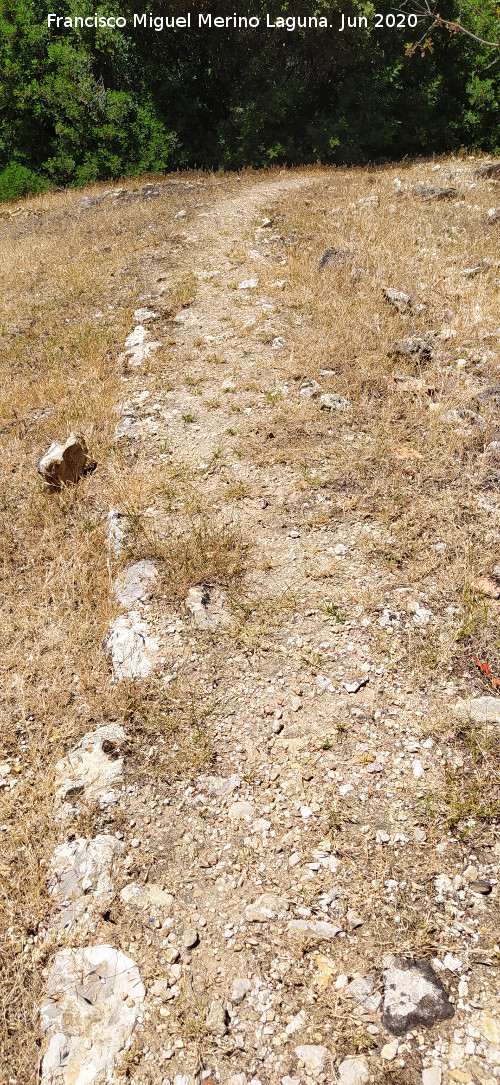 Camino de las Grajas - Camino de las Grajas. 