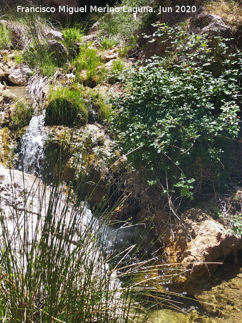 Arroyo de las Grajas - Arroyo de las Grajas. 