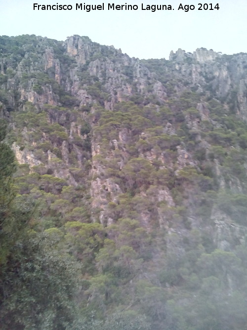 Cerro Matamulos - Cerro Matamulos. Vertiente oeste