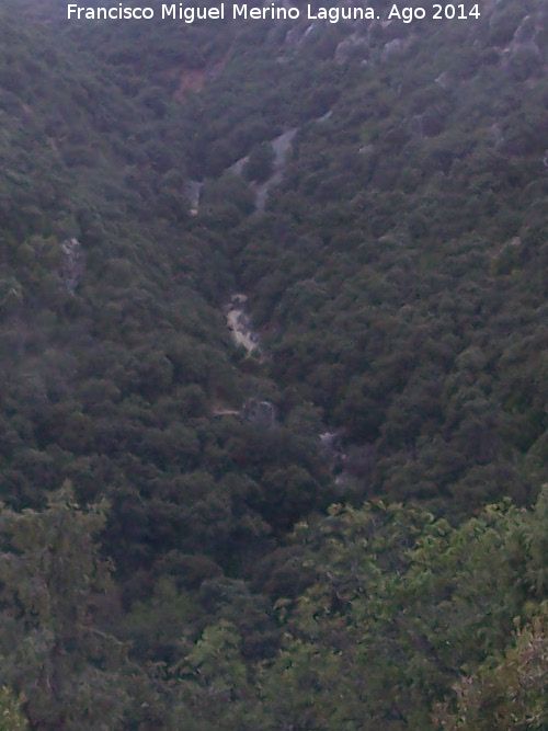 Barranco de los Tejos - Barranco de los Tejos. 