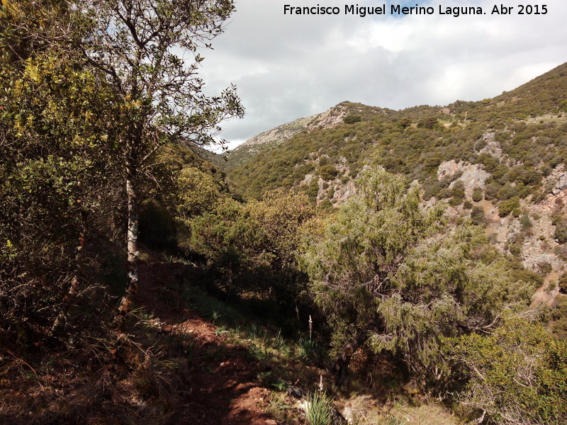 Barranco de los Tejos - Barranco de los Tejos. 