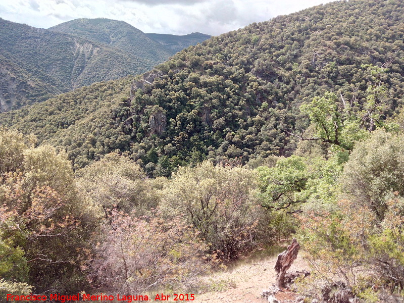 Barranco de los Tejos - Barranco de los Tejos. 