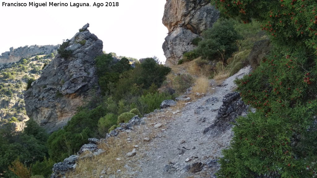 Caada del Sabinar - Caada del Sabinar. 