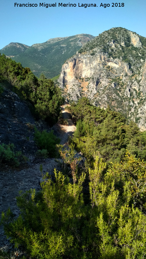 Caada del Sabinar - Caada del Sabinar. 