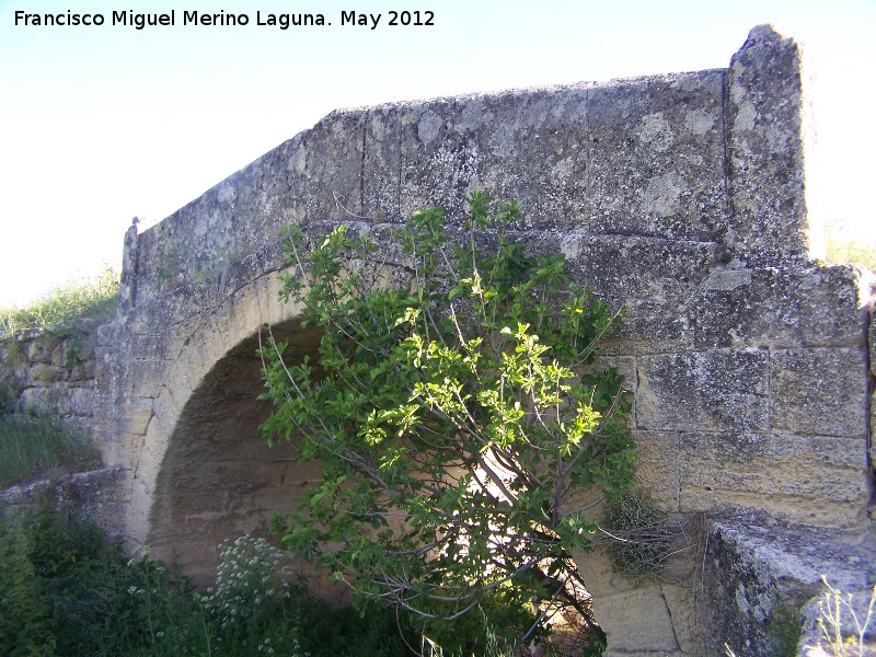 Puente del Guadalcotn - Puente del Guadalcotn. 