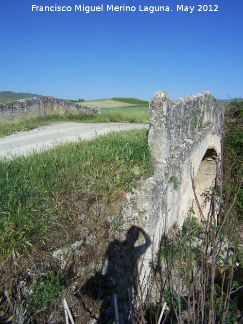 Puente del Guadalcotn - Puente del Guadalcotn. 