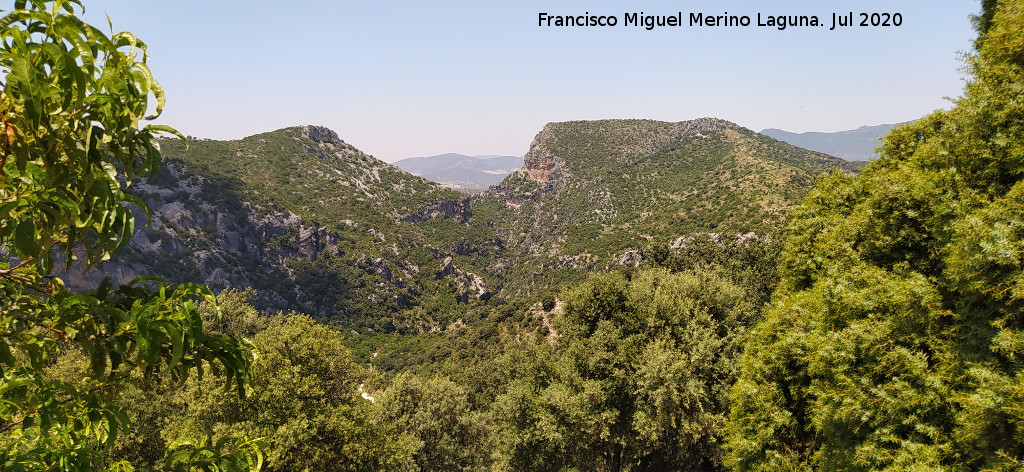 Mirador Puerto de los Acebuches - Mirador Puerto de los Acebuches. Vistas