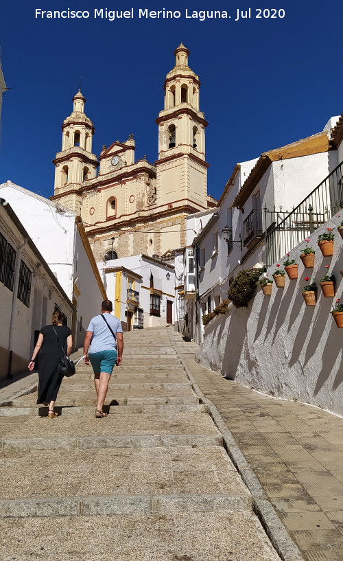 Calle Calzada - Calle Calzada. 