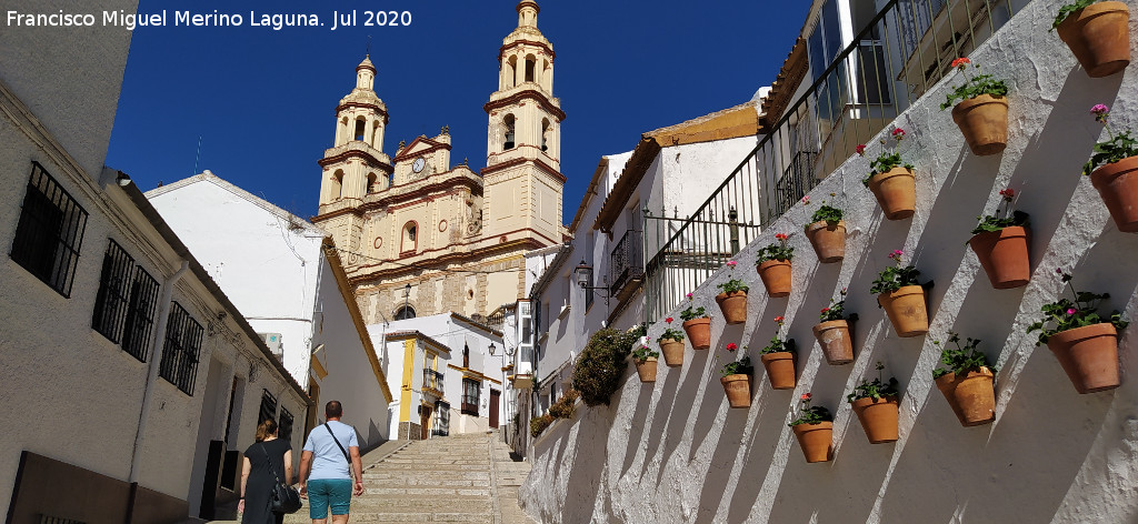 Calle Calzada - Calle Calzada. 