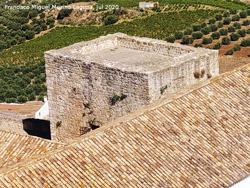 Torre de la Cilla - Torre de la Cilla. Desde el Castillo
