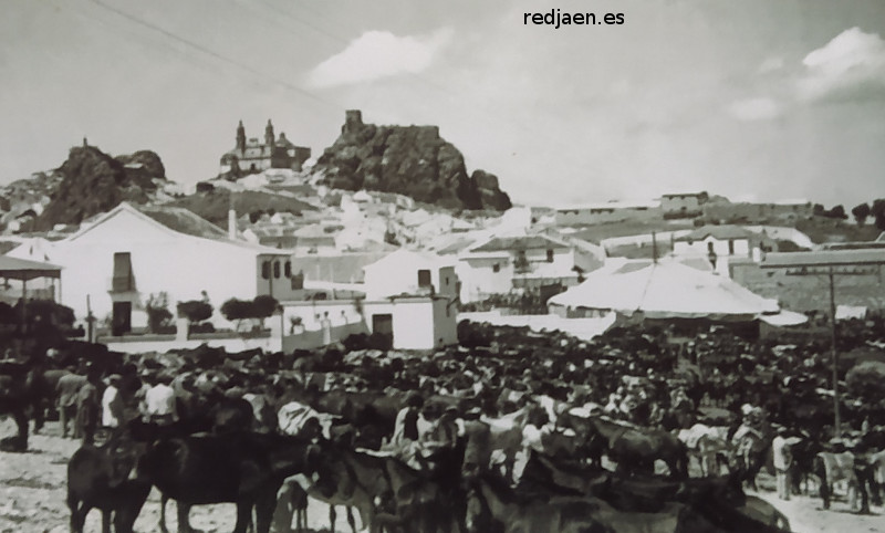 Historia de Olvera - Historia de Olvera. Foto antigua. Feria de Ganado de San Agust�n
