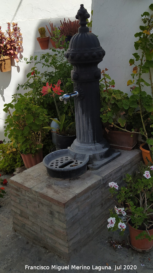 Fuente de la Plaza Mirador - Fuente de la Plaza Mirador. 