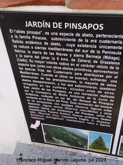 Jard�n de Pinsapos - Jard�n de Pinsapos. Cartel