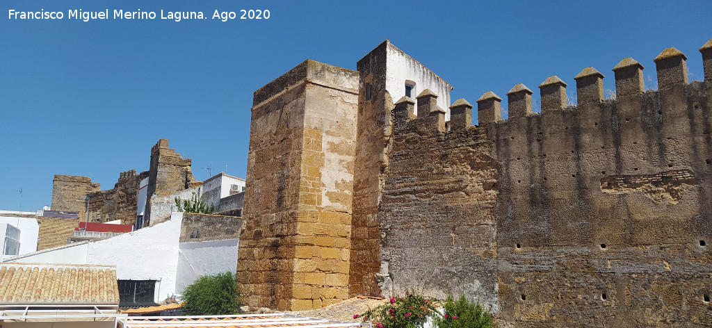 Muralla de Carmona - Muralla de Carmona. Desde el Alc�zar de la Puerta de Sevilla