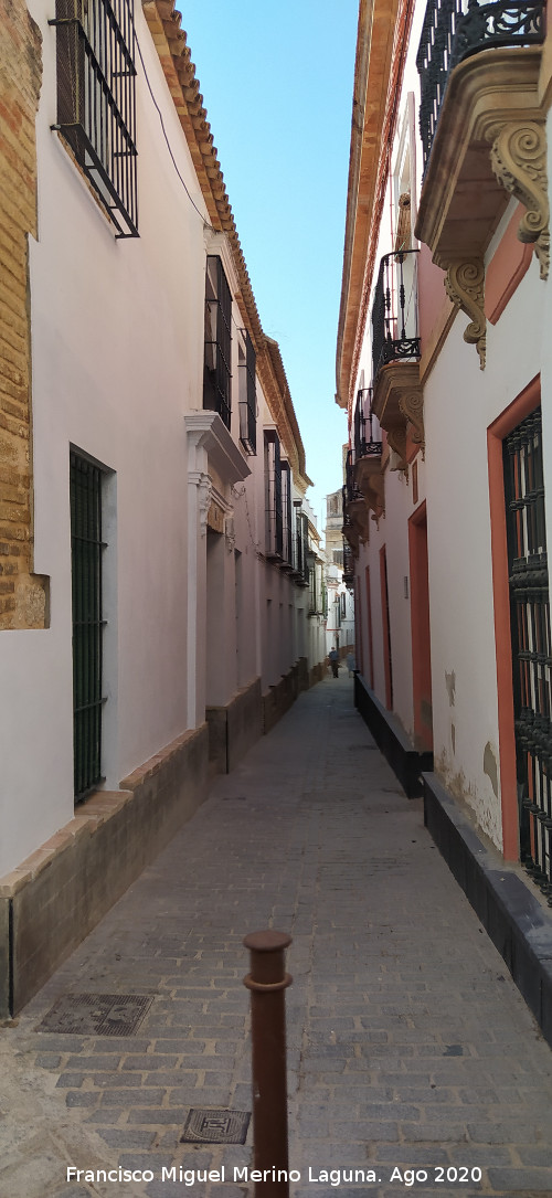 Calle Elio Antonio - Calle Elio Antonio. 