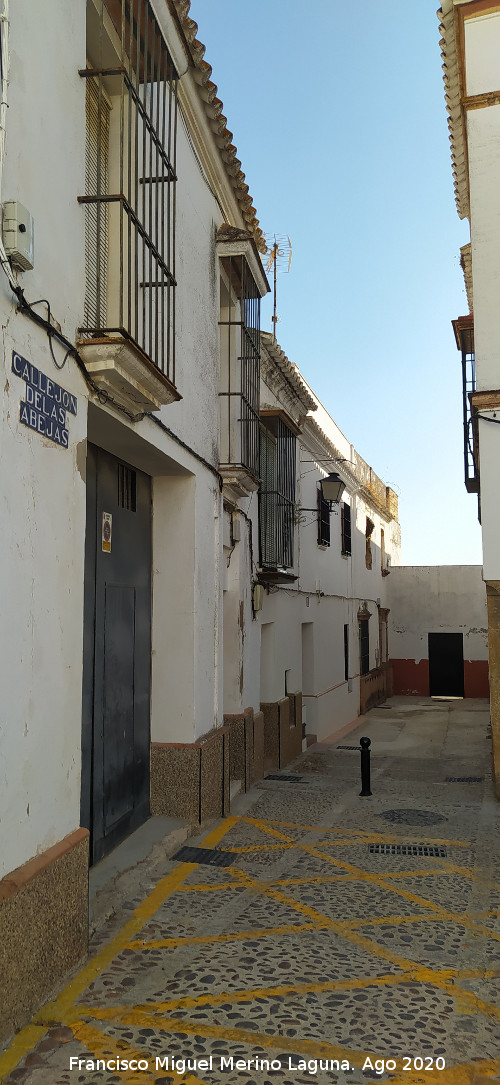 Callej�n de las Abejas - Callej�n de las Abejas. 