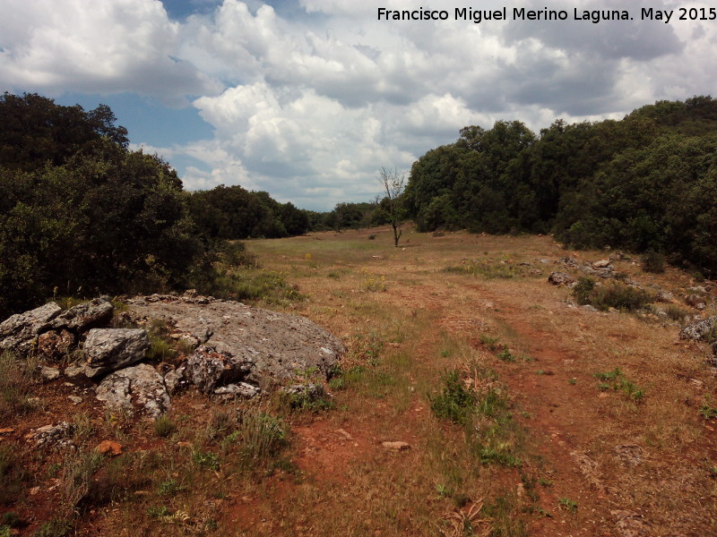 La Camua - La Camua. Llanos de la Camua