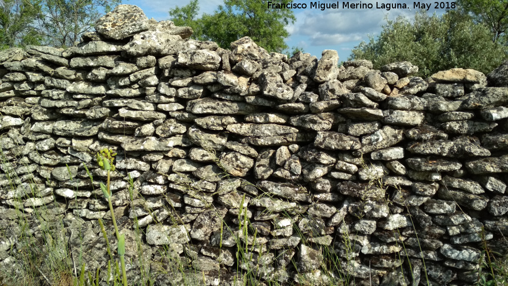 La Colonia - La Colonia. Muro de pedra seca