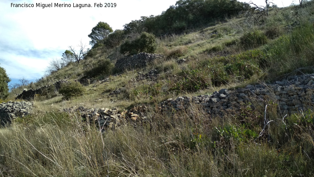 La Colonia - La Colonia. Muros de piedra seca