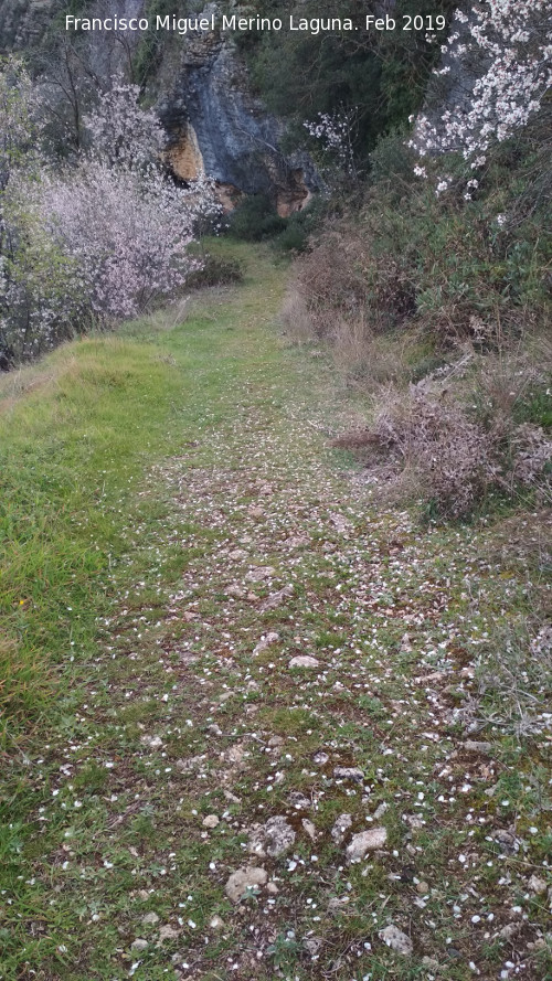 La Nava - La Nava. Camino a la Cueva del Jabonero