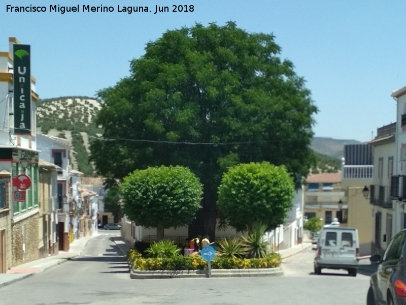 Plaza de la Constitucin - Plaza de la Constitucin. Jardn entre las dos calles