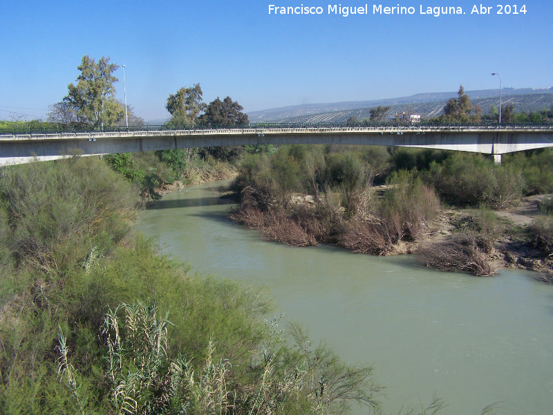 Puente Nuevo del Obispo - Puente Nuevo del Obispo. 