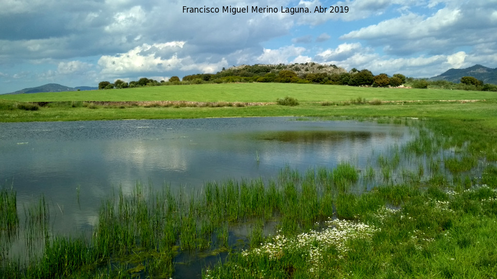 Laguna del Pizorro - Laguna del Pizorro. 