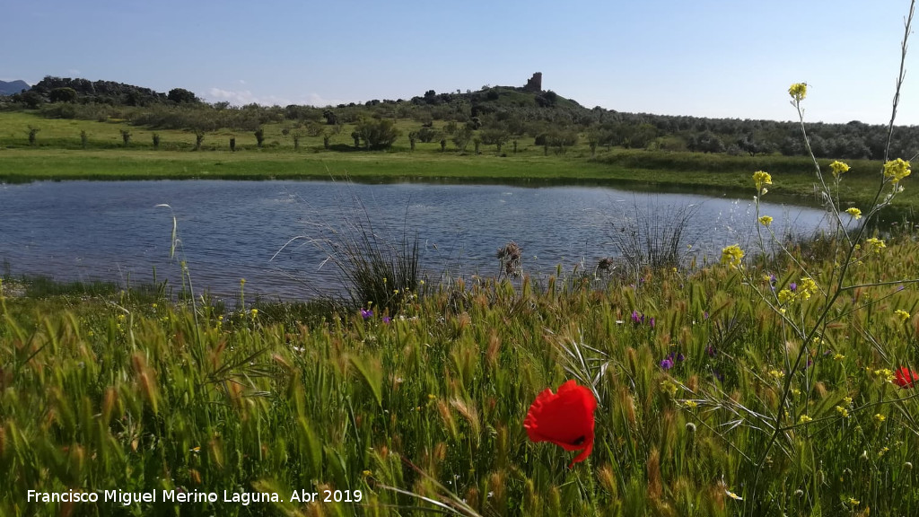 Laguna del Pizorro - Laguna del Pizorro. 