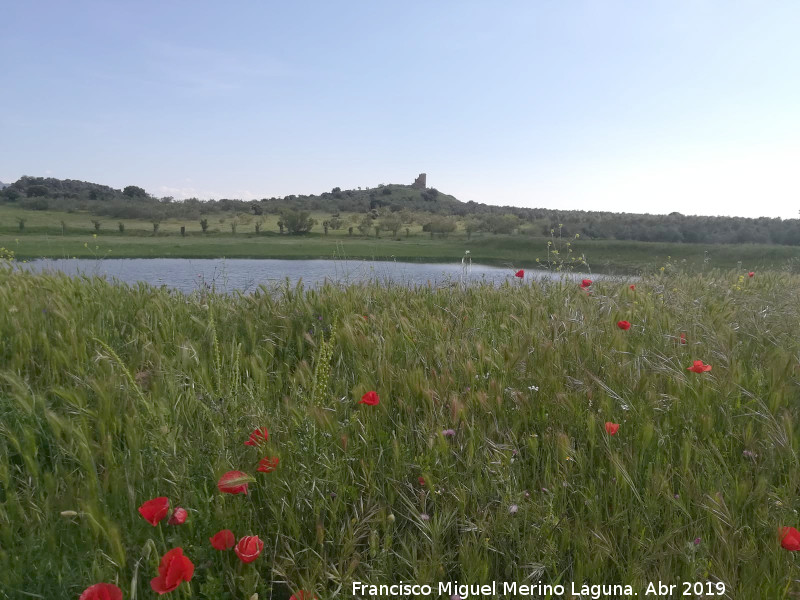 Laguna del Pizorro - Laguna del Pizorro. 