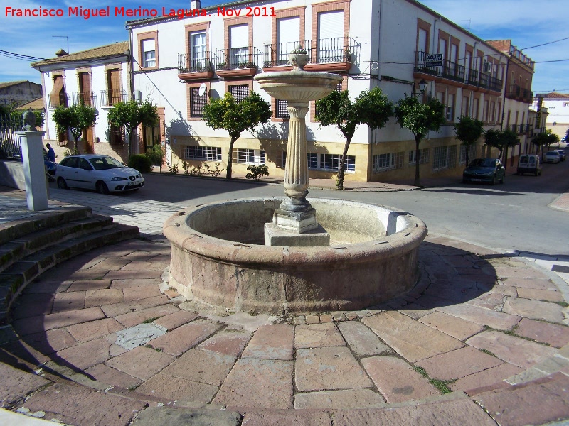 Fuente Taza - Fuente Taza. 