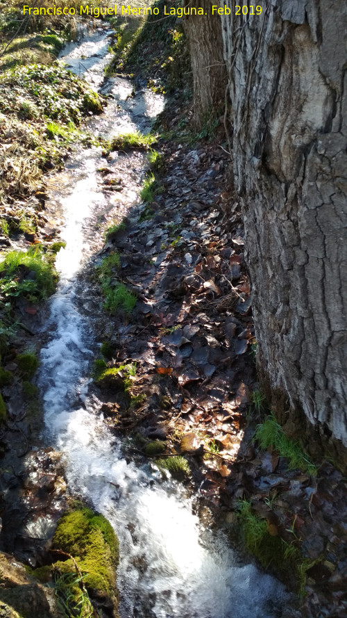 Aldea Guadabraz - Aldea Guadabraz. Agua