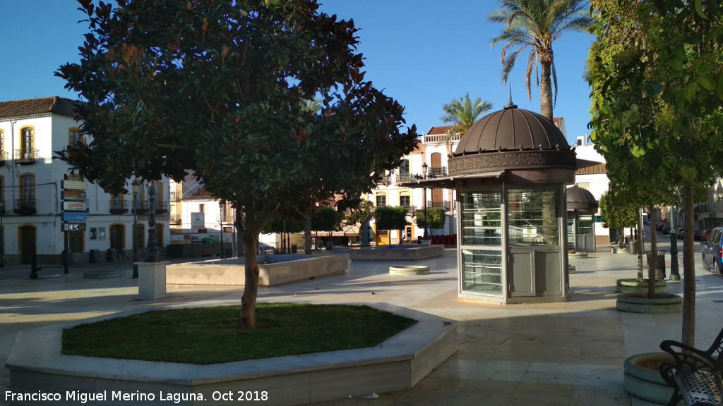 Plaza del Ayuntamiento - Plaza del Ayuntamiento. 