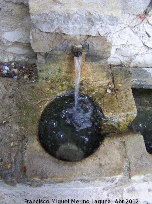 Fuente del Lugar - Fuente del Lugar. Cao