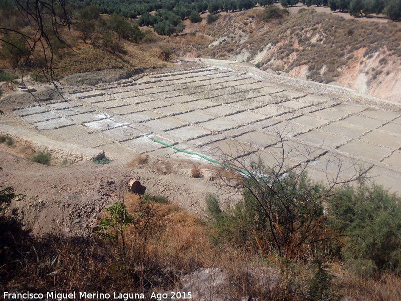 Salinas de Las Escuelas - Salinas de Las Escuelas. 