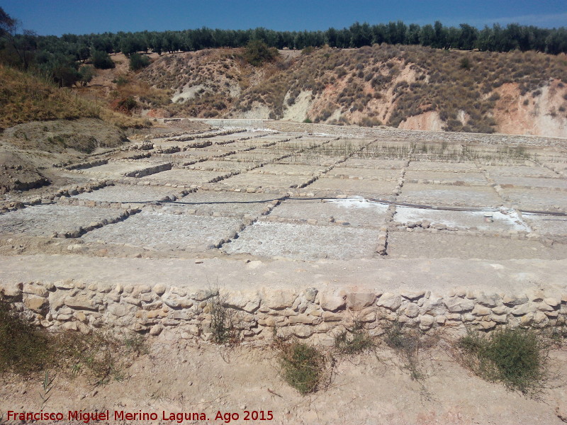 Salinas de Las Escuelas - Salinas de Las Escuelas. 