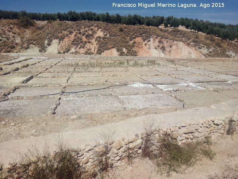 Salinas de Las Escuelas - Salinas de Las Escuelas. 